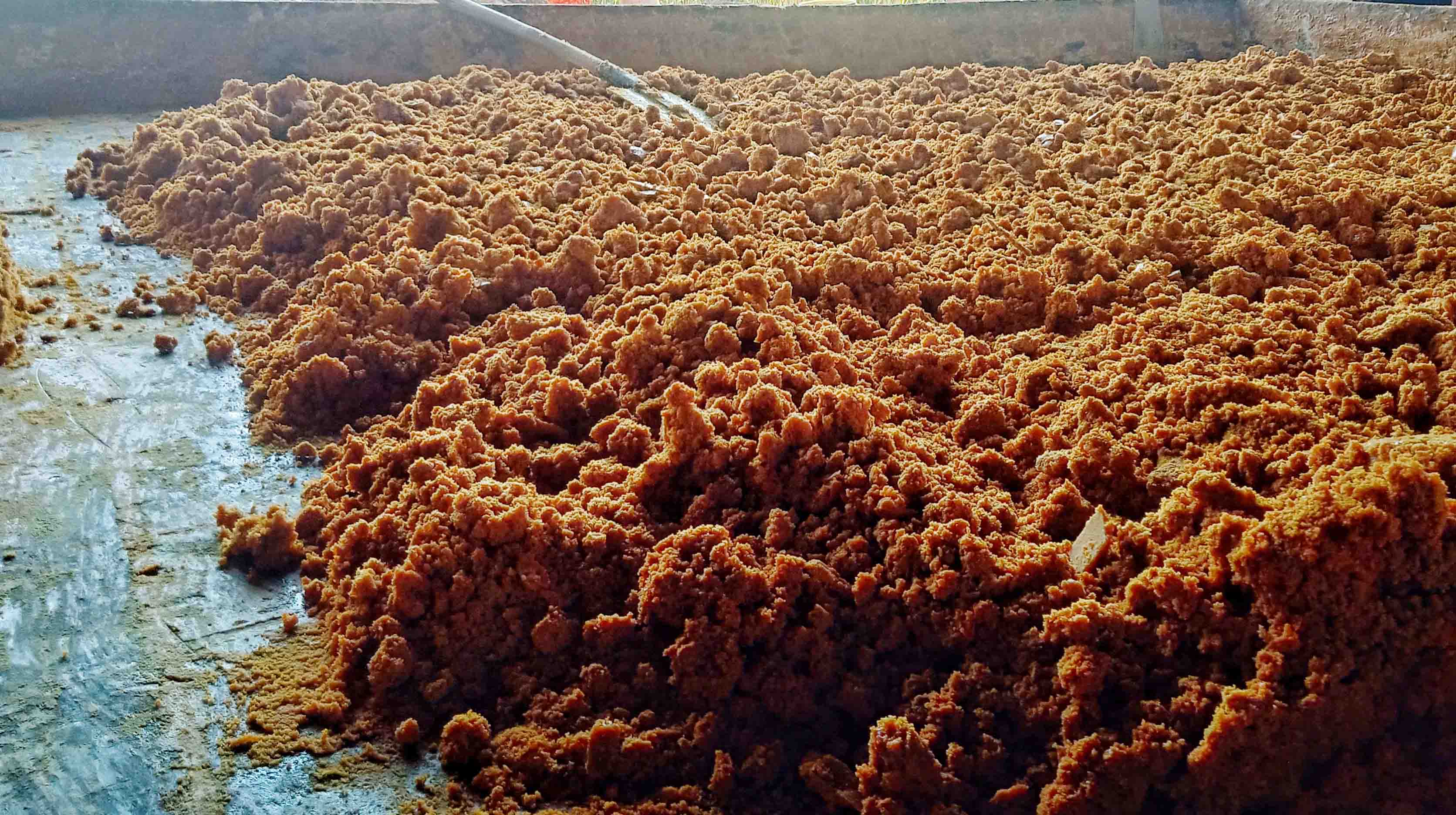 Jaggery Manufacturing